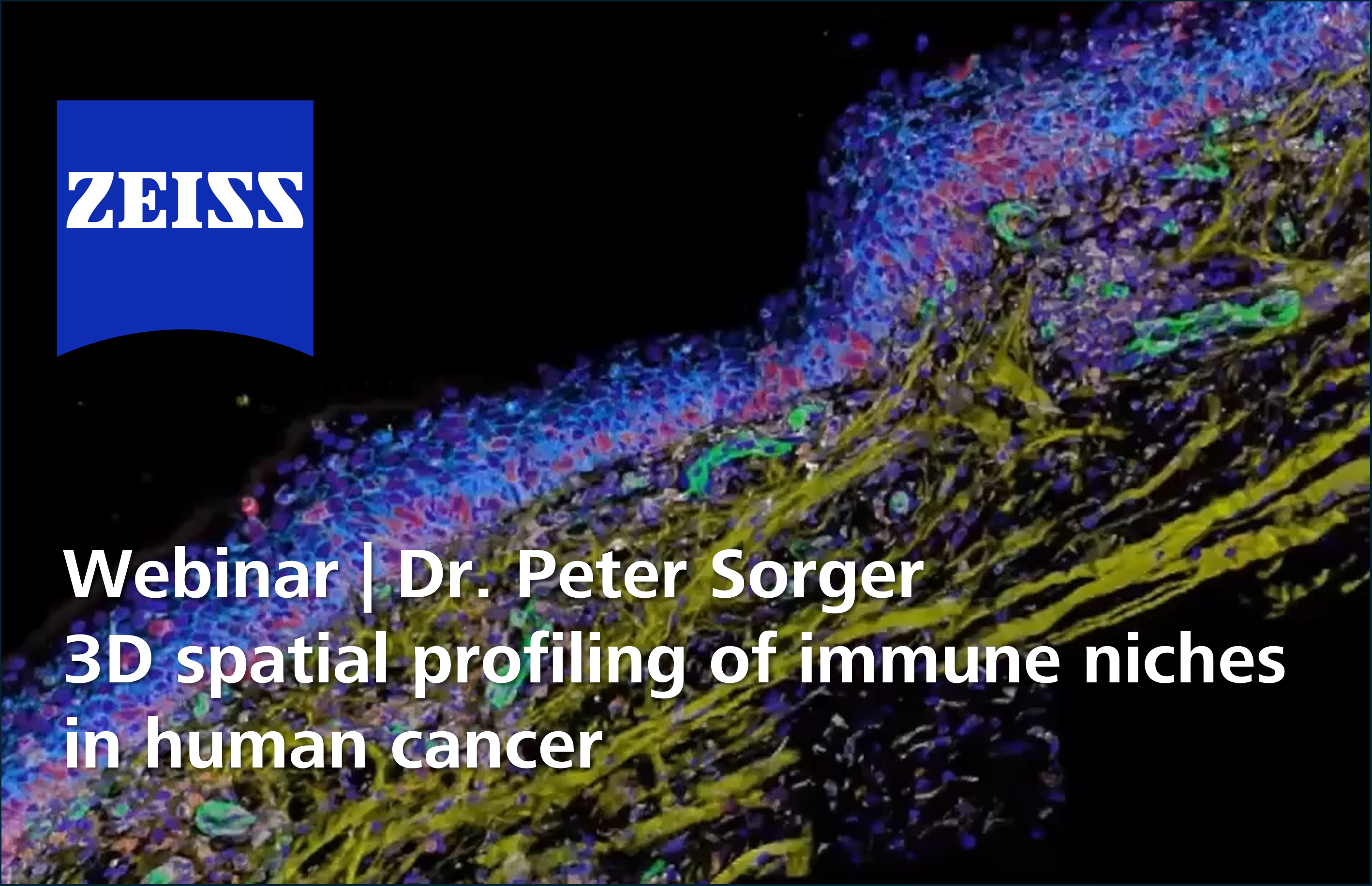 Webinar: 3D spatial profiling of immune niches in human cancer
