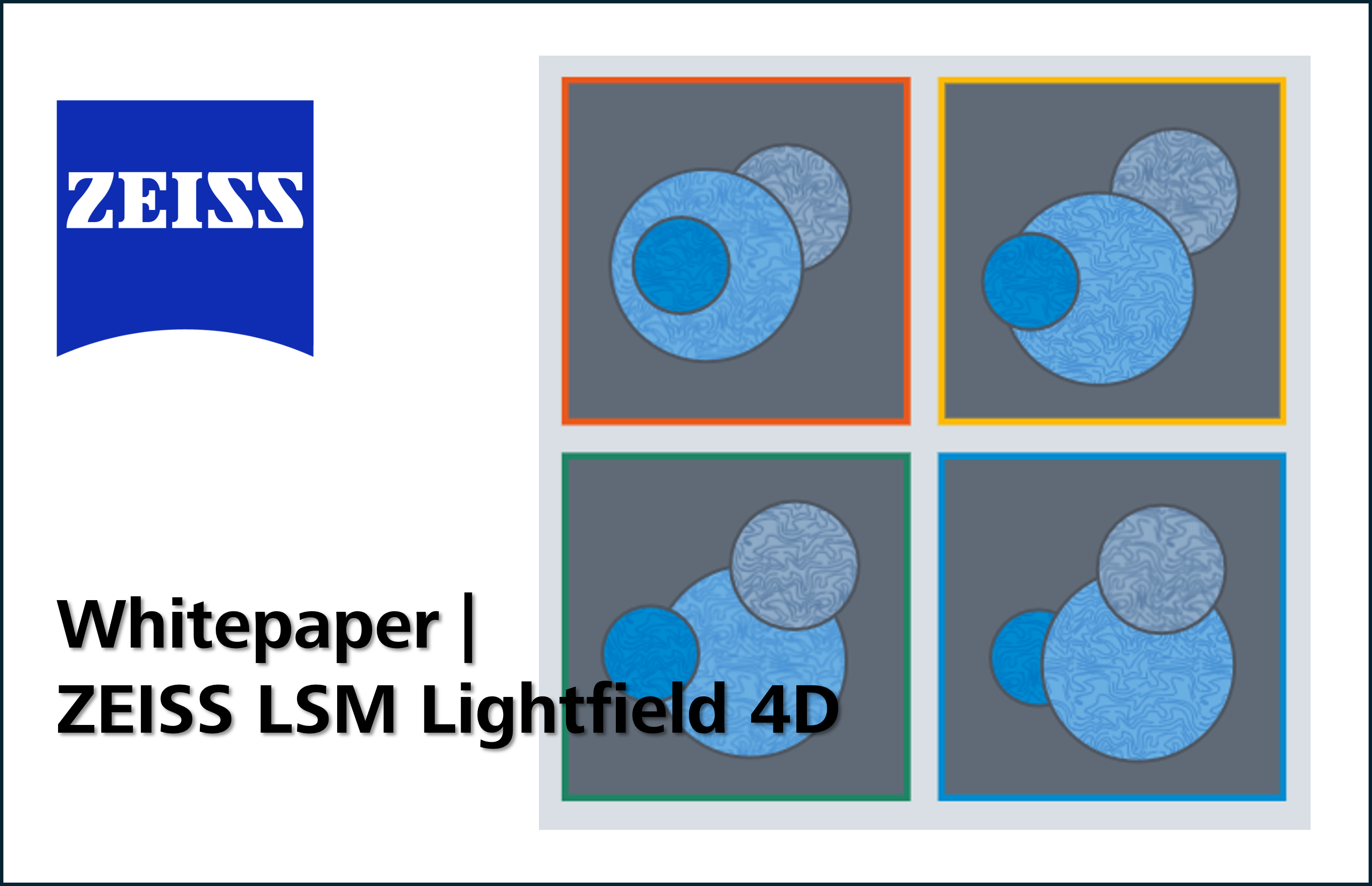 Instant Volume Acquisition | Lightfield 4d