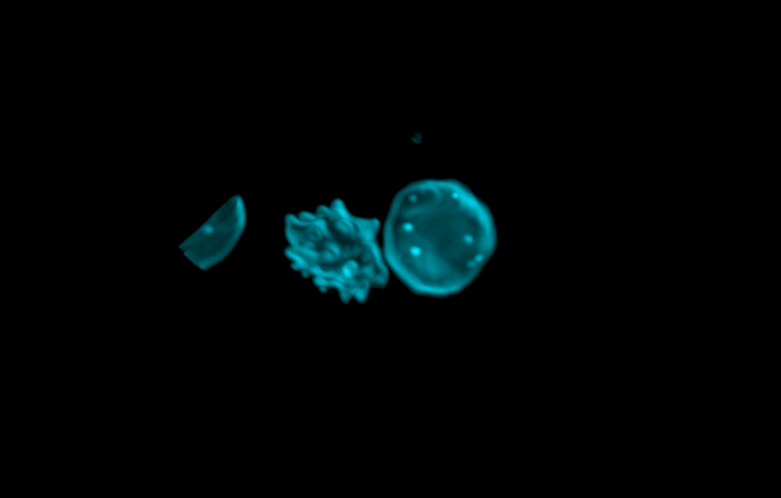 RBC - Malaria | LLS7